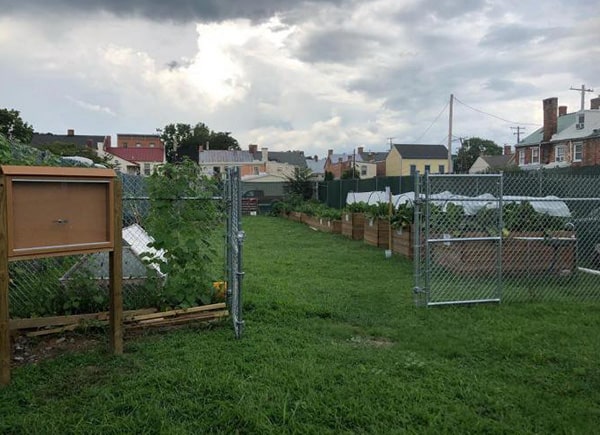 Frederick Food Security Garden.FFSN aims to reduce food insecurity.